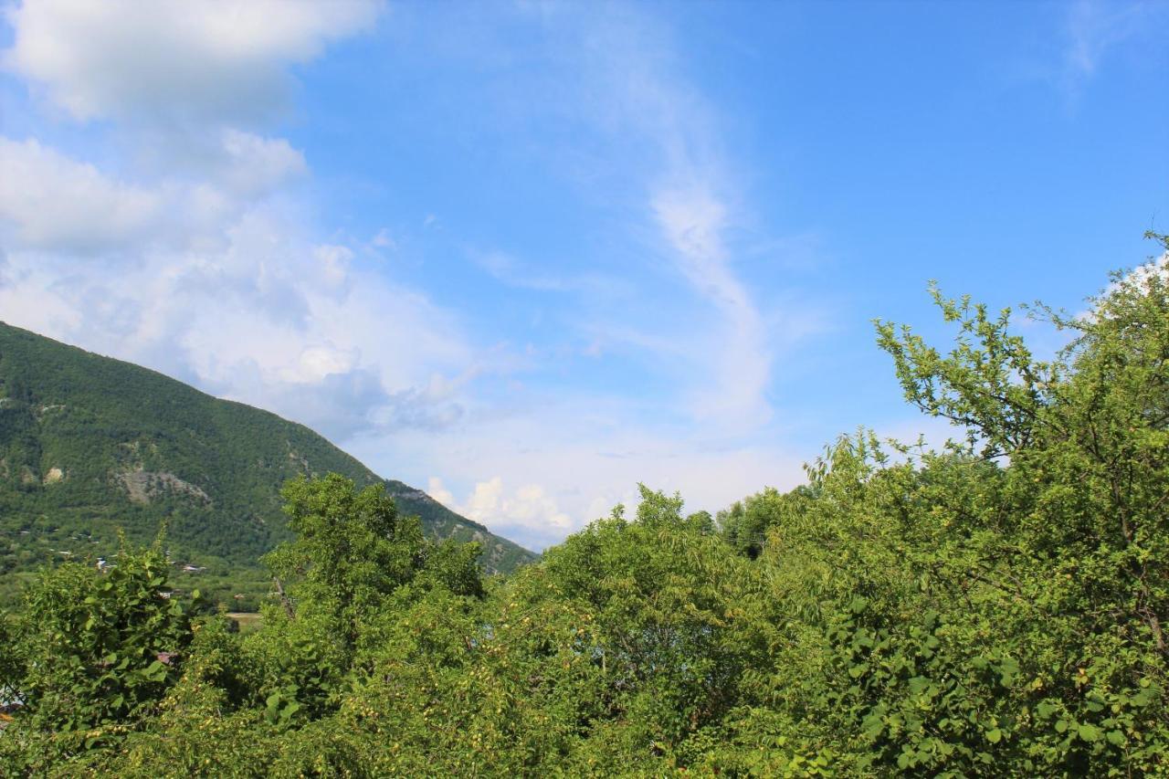 Guest House Racha Ambrolauri Exterior foto